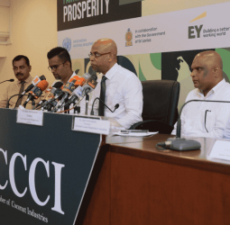 Sri Lanka’s coconut industry faces major setback as US slaps 30% tariff