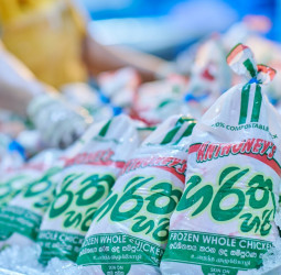 The Poultry Paradigm Shift: How New Anthoney’s HarithaHari Chicken Is Redefining Clean Protein in Sri Lanka