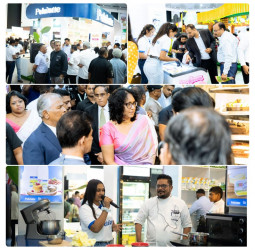 Pelwatte Dairy Shines as Gold Sponsor at Culinary Arts Food Exhibition 2025