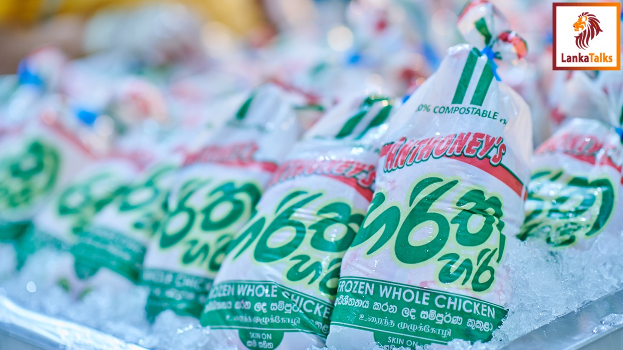 From Farm to Table: New Anthoney's Bold Step Towards an Antibiotic-Free Poultry Future