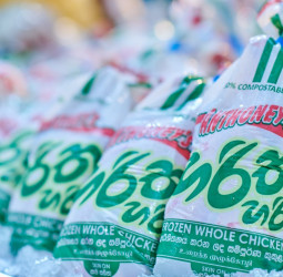 From Farm to Table: New Anthoney's Bold Step Towards an Antibiotic-Free Poultry Future