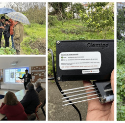 Rootcode Partners with Portugal to Launch Smart Farming AI & IoT System