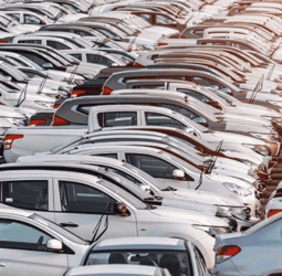 Probe into illegal vehicle imports widens