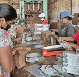 Budget 2026: SME-driven focus a must for 6% GDP growth