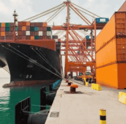 Shippers’ Council calls for deliberation over SVAT abolishment