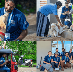 Ride Against Rabies: WECare Worldwide Takes the Battle to the Streets