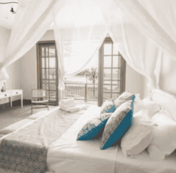 SL’s five star room rates 20% above regional peers