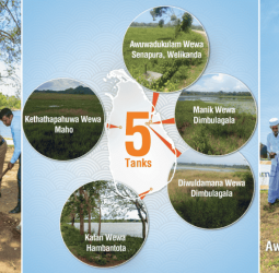 Sampath Bank Begins Restoration of Another Five Tanks to Uplift 1,112 Farming Families Across 2,182 Acres of Paddy Lands