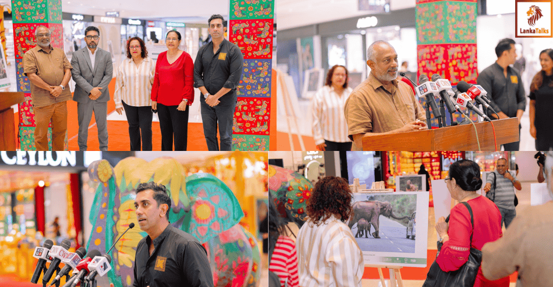 Spa Ceylon shines a lens on the Human-Elephant Conflict