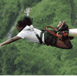 Lotus to embrace bungee jumping