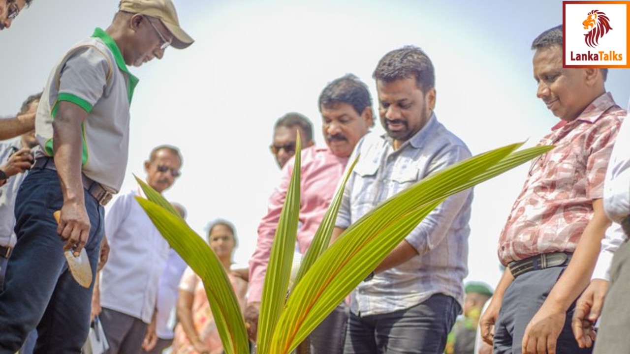 First Coconut Seed Production Unit in the North Launched under President’s Patronage