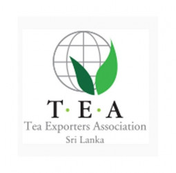 VAT uncertainty looms over tea industry
