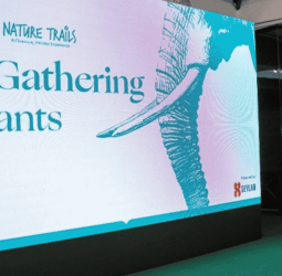 Seylan Cards with Cinnamon Hotels & Resorts hosted ‘The Gathering of Giants’ for 2nd consecutive year